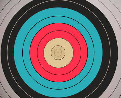 target. Fiber Target: Practice Target